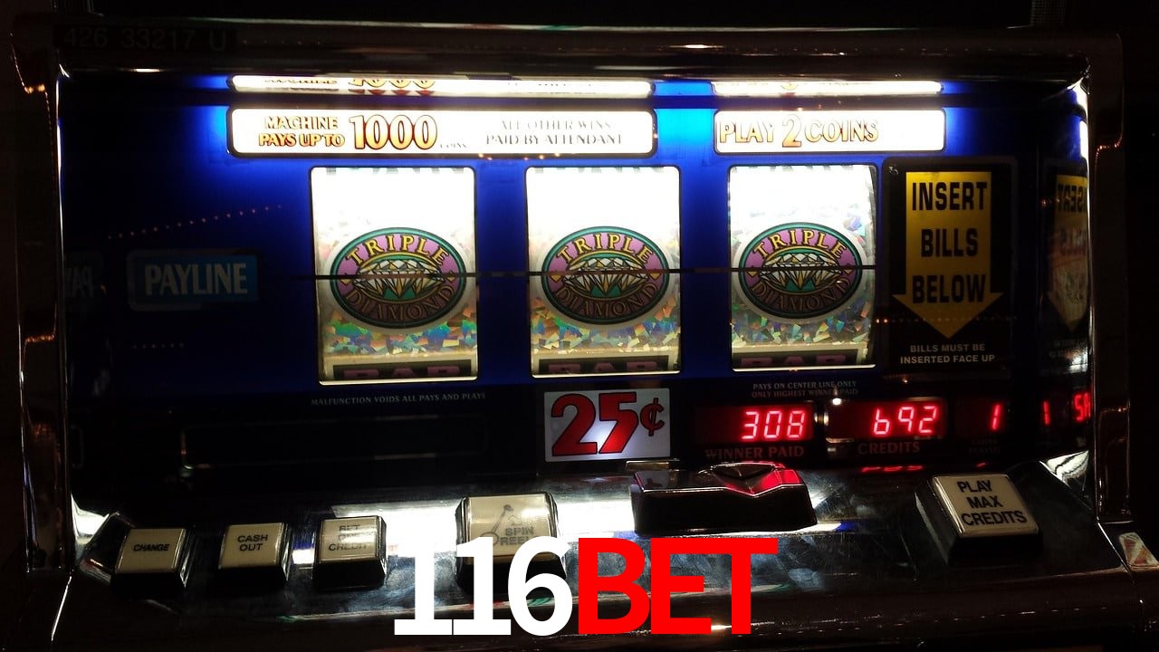 Tennis Betting 116BET
